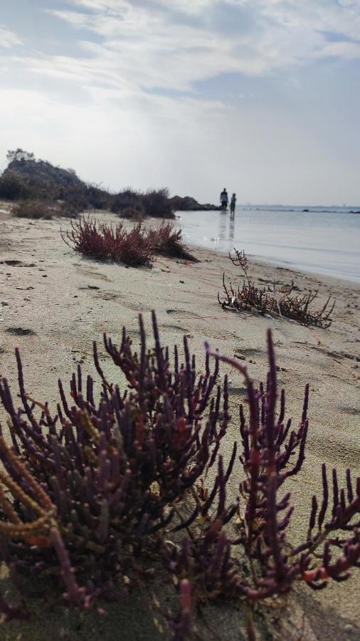 Fantastic 4 Cyprus First Line Beachfront Boghaz Bagian luar foto
